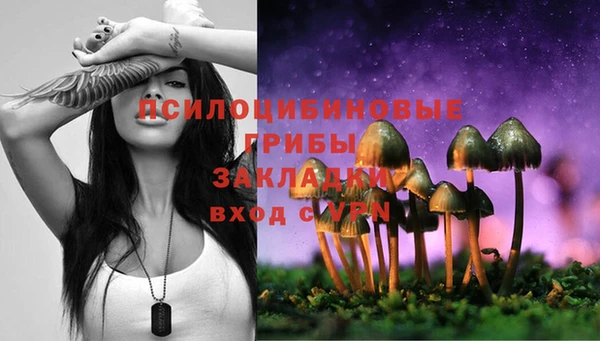 индика Алзамай