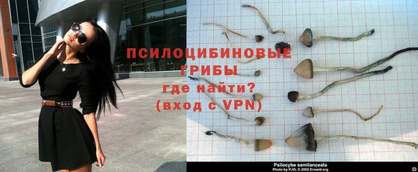 индика Алексеевка