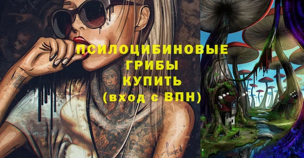 прущая мука Арсеньев