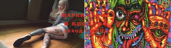 индика Алзамай