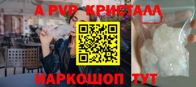 2c-b Кингисепп