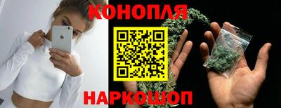 2c-b Кингисепп