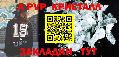 2c-b Кингисепп