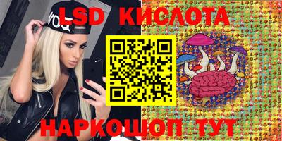 2c-b Кингисепп