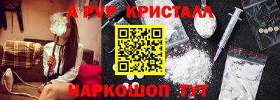 2c-b Кингисепп