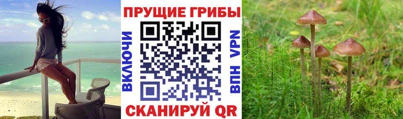 Псилоцибиновые грибы MAGIC MUSHROOMS Краснознаменск