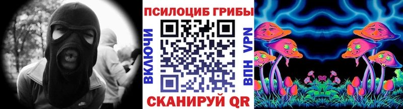Псилоцибиновые грибы Cubensis  Краснознаменск 