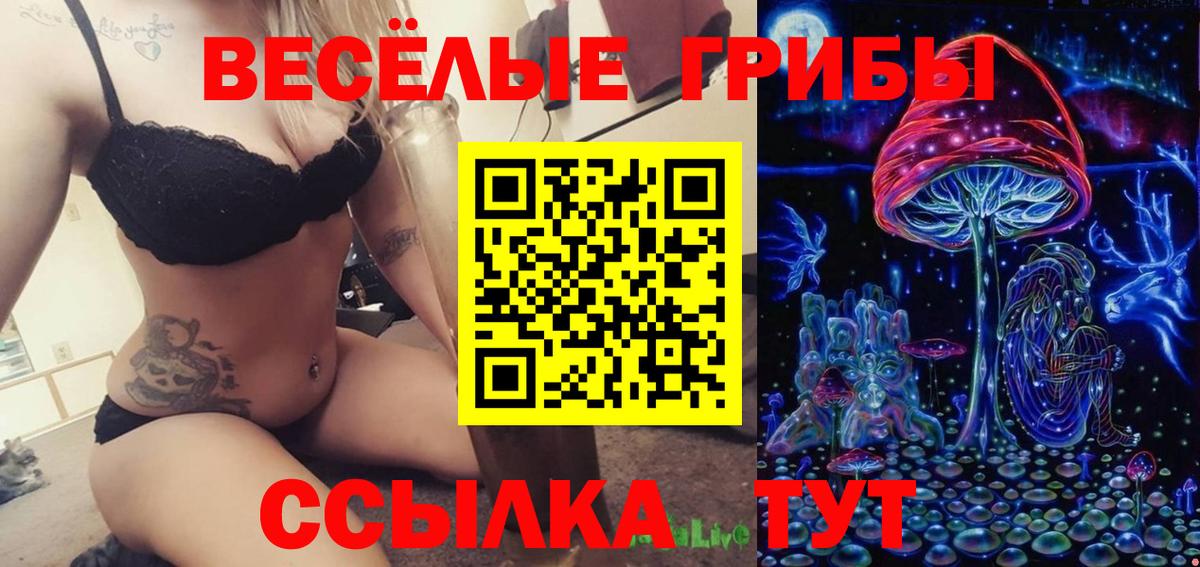 Краснознаменск  что такое   Вход с VPN  Псилоцибиновые грибы Magic Shrooms 