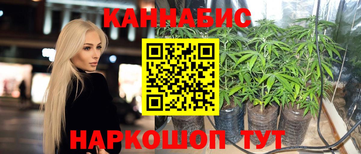 Канабис гибрид  Вход с VPN  Краснознаменск  Марихуана LSD WEED  Бошки Шишки семена  Канабис планчик 